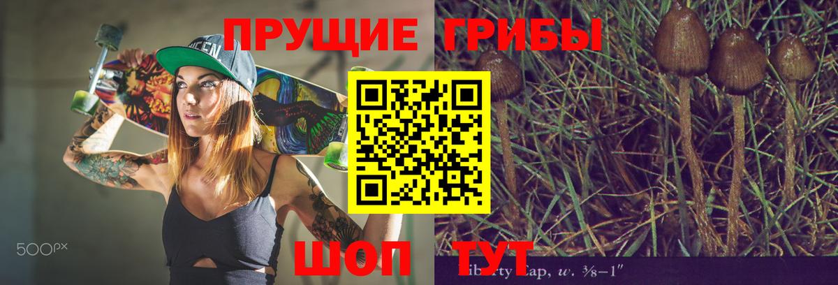 Галлюциногенные грибы мицелий Ступино