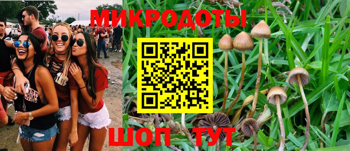 Ступино  Псилоцибиновые грибы Psilocybine cubensis  Вход с VPN 